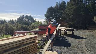 Edging poplar with woodmizer twin blade edger [upl. by Novj837]