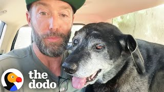 The Happiest Dog Rescue Stories  The Dodo [upl. by Caroline]