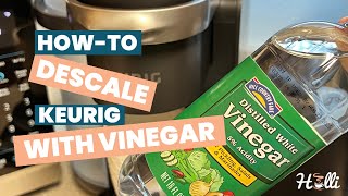 How to Descale Keurig with Vinegar StepbyStep Guide [upl. by Heid]