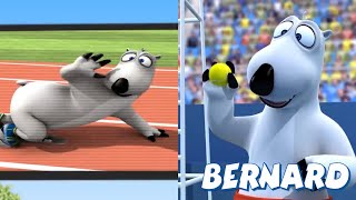 🐻‍❄️ BERNARD in the OLYMPIC GAMES  Full Episodes  VIDEOS and CARTOONS FOR KIDS [upl. by Argyres]