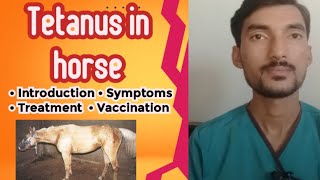 Tetanus in Horse complete guide  Animals  Tetanus treatment  Vet Experts  Dr Abdullah [upl. by Alyahsal]