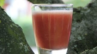 Wassermelonen Smoothie Rezept  Der Bio Koch 527 [upl. by Pride882]