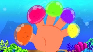 Jelly poisson Finger Famille  comptine  Nursery Rhymes For Kids  Jelly Fish Finger Family [upl. by Limak97]