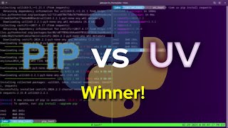 PIP vs UV The Rematch and More [upl. by Ahsenar998]