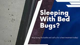 Sleeping With Bed Bugs Greenville SC [upl. by Jac572]