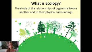 Ecology A level Biology [upl. by Noyad934]