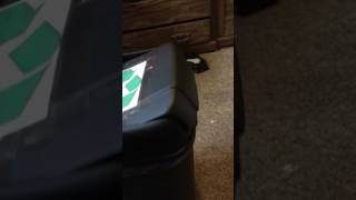 Hefty pivot lid 13 gallon trash can Quick review [upl. by Ninos]