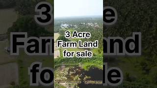 உடுமலைக்கு அருகில் அழகிய பண்ணை நிலம் விற்பனைக்கு farmlandforsale houseforsale agriculture garden [upl. by Malley944]