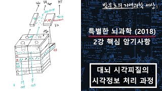 3 V1 피질의 구조와 시각정보 처리 과정 [upl. by Mir]