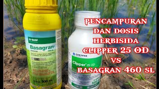 pencampuran herbisida clipper 25 OD dengan Basagran 460 SL [upl. by Ifok334]