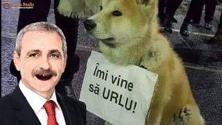 Balada lui Dragnea  Parodie 2017 [upl. by Cornall714]