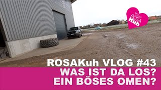 ROSAKuh Vlog43 ein schlechtes Omen ROSAKuh Hofmolkerei Farmvlog megaregional [upl. by Notsrik364]