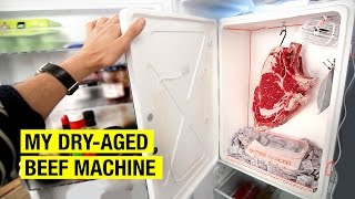 3 The DryAged Beef Machine  How I Dry Age Beef At Home [upl. by Littman639]