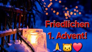 Friedlichen 1 Advent 🙏🐱❤ [upl. by Stanway]