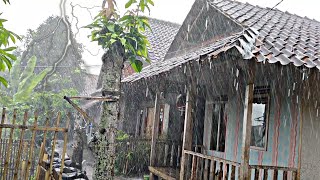 Rainstorms and Thunder in Remote Areas of My Village for Better Sleep  Walking In The Rain [upl. by Ahtreb]