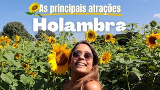 HOLAMBRA AS PRINCIPAIS ATRAÇÕES DA CIDADE DAS FLORES [upl. by Jacquelyn905]