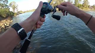 Land Based Mangrove Jacks  Gold Coast Fishing [upl. by Phyl200]