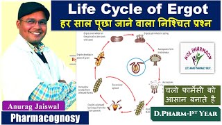 Life cycle of Ergot  Claviceps  In easy Way  Pharmacognosy [upl. by Yrrap]