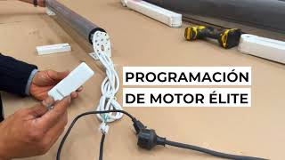 PROGRAMACIÓN DE MOTOR ÉLITE [upl. by Ahcarb]