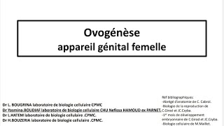 Embryologie  Ovogénèse première année médecine et médecine dentaire [upl. by Wilt]