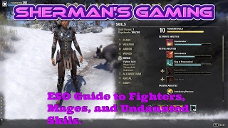 ESO Guide to Fighters Mages and Undaunted Guild Skills [upl. by Enoryt]