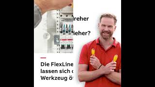 FlexLine®  Schraubendreher oder Schraubenzieher  Egal [upl. by Ahsoym]