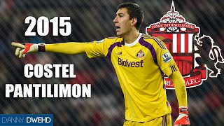 Costel Pantilimon 2015  Best Saves  Sunderland  HD [upl. by Leihcim]