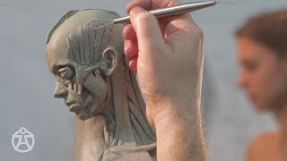 Live demo – anatomy female Andrew Cawrse  ecorche sculpture [upl. by Sitoiyanap]