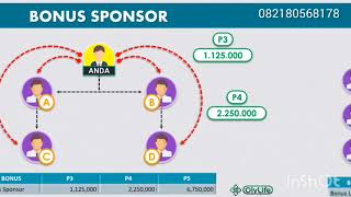 MARKETING PLAN OLYLIFE INDONESIA [upl. by Elyr]