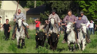 CAVEIRAC BANDIDO PARCOUR OUVERT 17042022 [upl. by Alauqahs796]