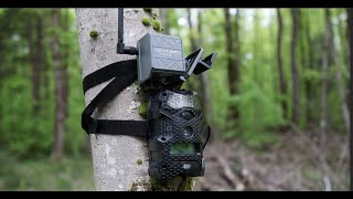 SpyPoint Cell Link Trail Camera Setup 2024 Season E1 [upl. by Atinhoj512]