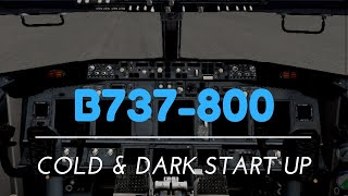 How to start up the 737800 in Xplane 10 Mobile [upl. by Nnaear]