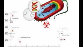 Clostridium difficile Detection  ClaremontBio [upl. by Greenland]