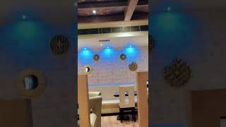 V park hotel karimnagar  foodtrending foodlover karimnagar [upl. by Anilegnave]