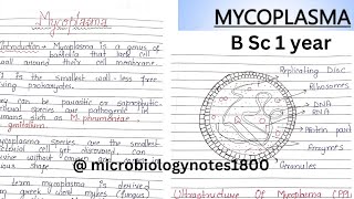 Mycoplasma [upl. by Christopher141]