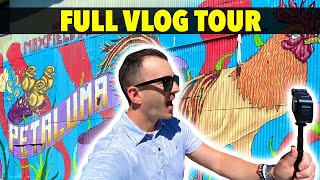 Living In Petaluma Ca FULL Vlog Tour [upl. by Hgielyk632]