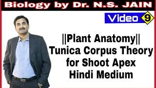 Tunica Corpus Theory for Shoot Apex Plant Anatomy  Hindi Medium [upl. by Suiratnauq]