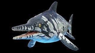 Ichthyosaur Dinosaur [upl. by Wilie]