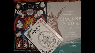 Haul livres de coloriages de lillustrateur JeanLuc Guérin [upl. by Honniball409]