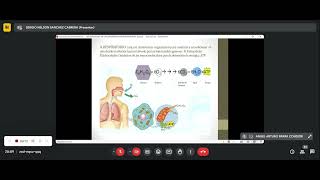 Clase fisiopatología  Enfermedades respiratorias [upl. by Narmi89]