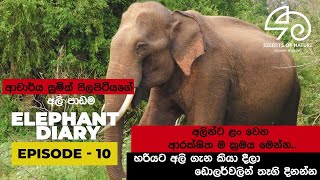 Elephant Diary  Episode  10  with with Dr Sumith Pilapitiya secretsofnatureSL [upl. by Abocaj]