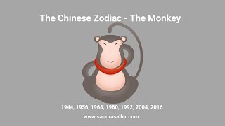 The Yang Metal Monkey  Chinese Astrology Explained [upl. by Phio]