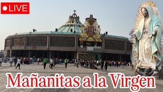 Mañanitas a la VIRGEN DE GUADALUPE en la BASÍLICA  Ciudad de México 2024 [upl. by Bishop932]