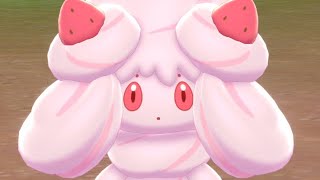 44b A CampFull Of Alcremie  Pokémon SwordShield [upl. by Demeyer]