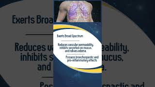 Introducing BreemaxLD Respules – your upcoming ally in the fight against COPD and asthma [upl. by Nniuq279]