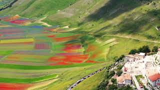 FIORITURA 2020 CASTELLUCCIO DI NORCIA4K [upl. by Firmin890]