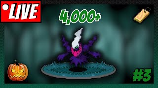 0510  LIVE shiny hunting for timid Darkrai in Pokémon Platinum [upl. by Stalk452]