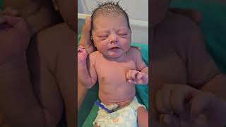 just born baby cry 🫡 shortfeed cutebabycarebaby cuteanimal trendingshorts baby mybabycare [upl. by Accever]