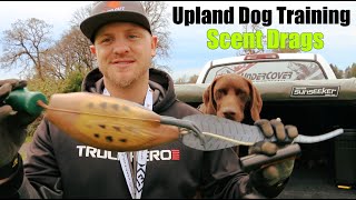 Upland Bird Dog Training  Scent Drags [upl. by Dnesnwot]