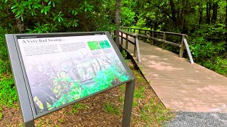 Moores Creek National Battlefield Boardwalk  Full  POV [upl. by Kylen]